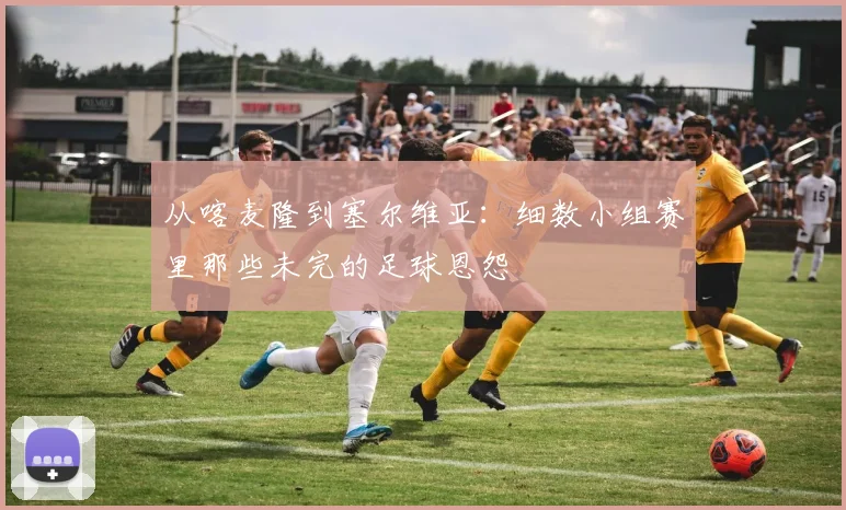 从喀麦隆到塞尔维亚：细数小组赛里那些未完的足球恩怨