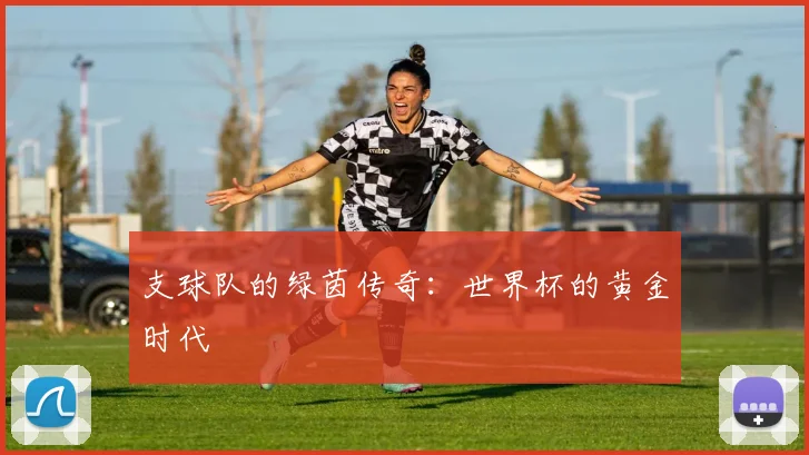 支球队的绿茵传奇：世界杯的黄金时代
