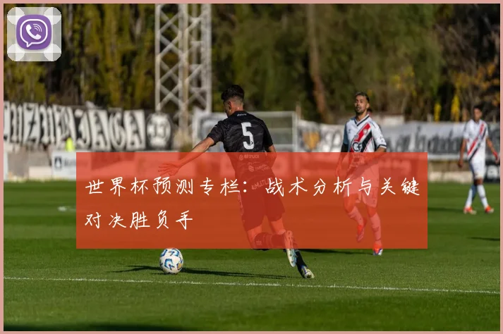 世界杯预测专栏：战术分析与关键对决胜负手